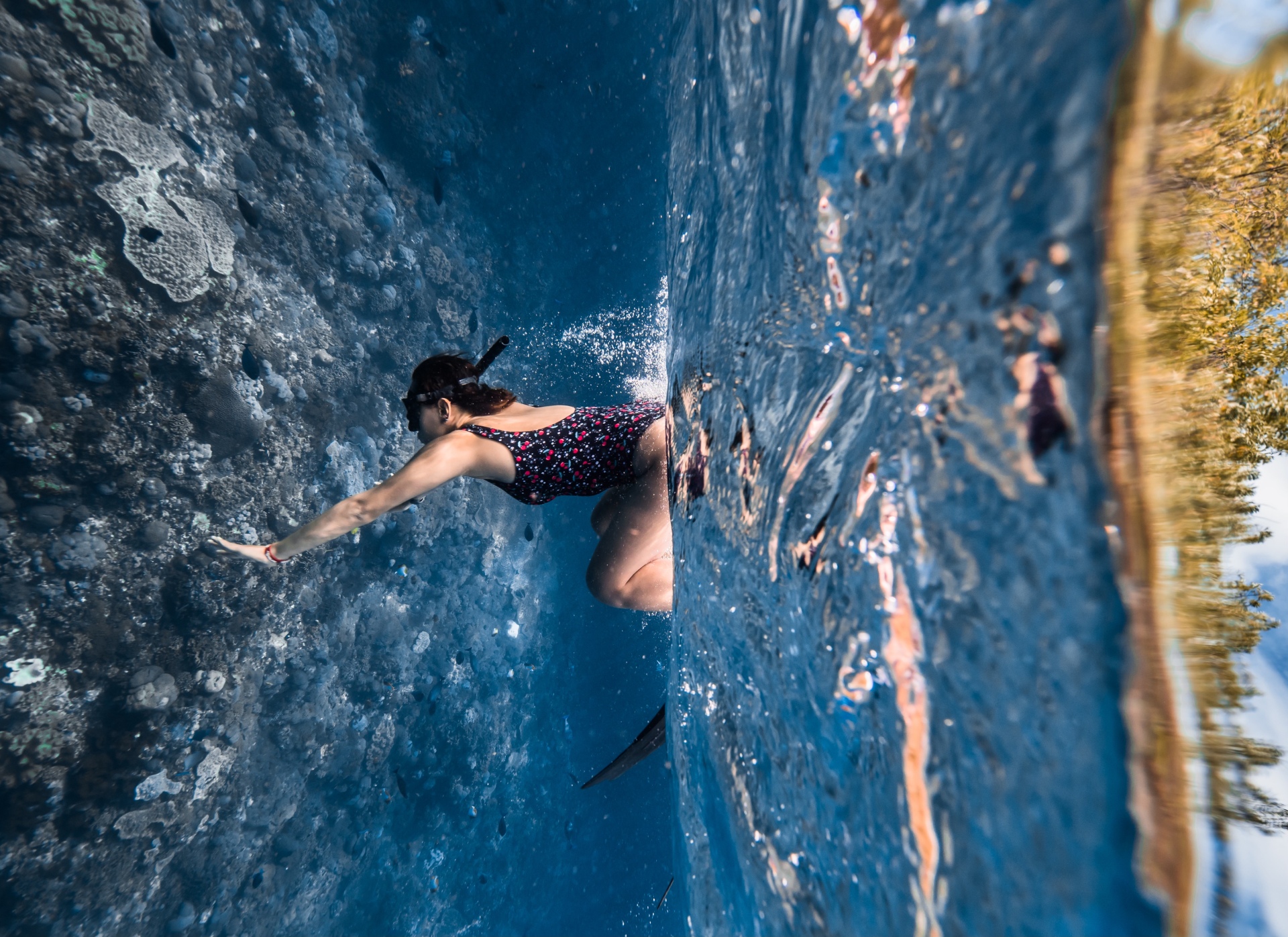 what is freediving