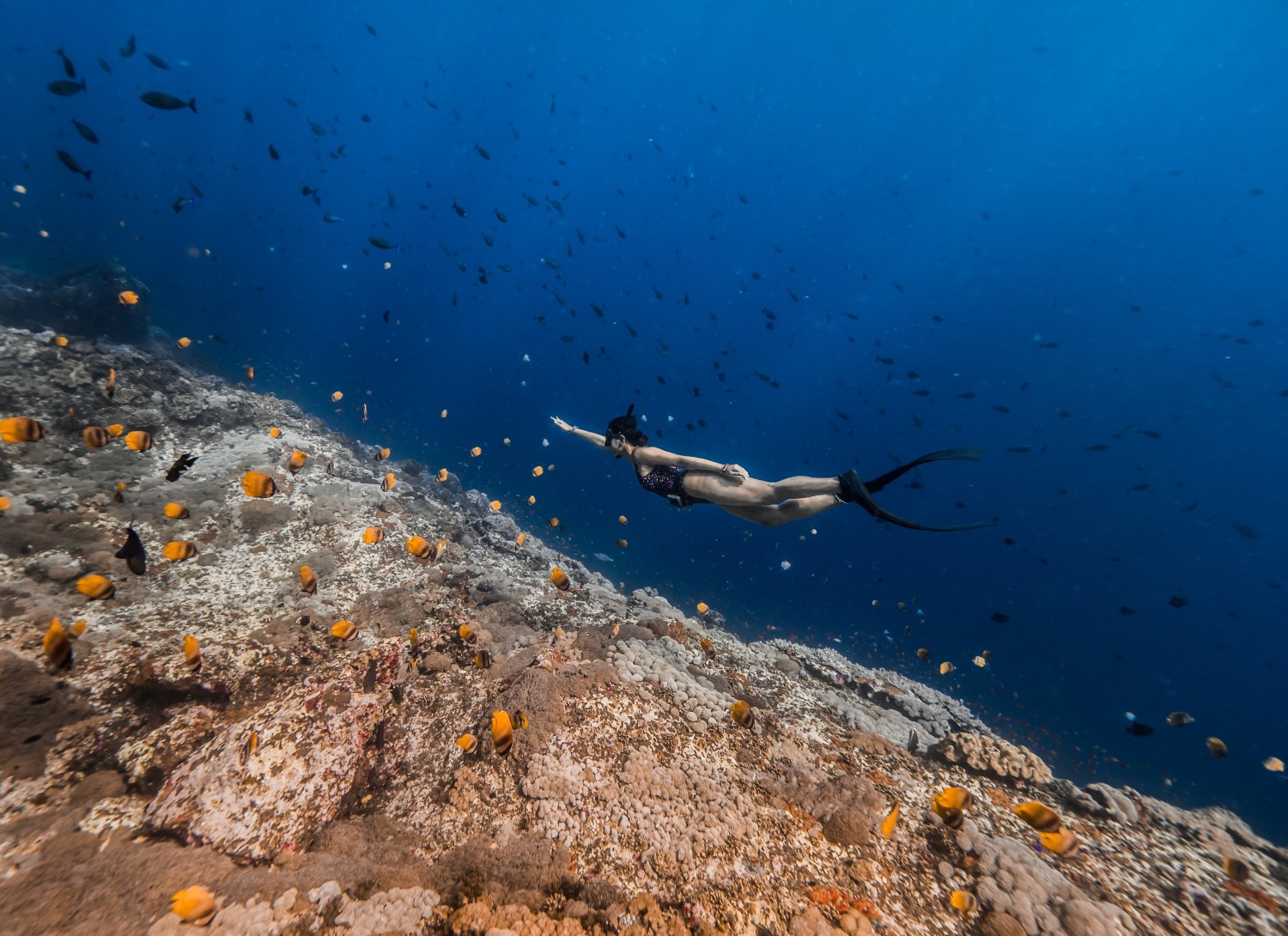 beginner freediving tips